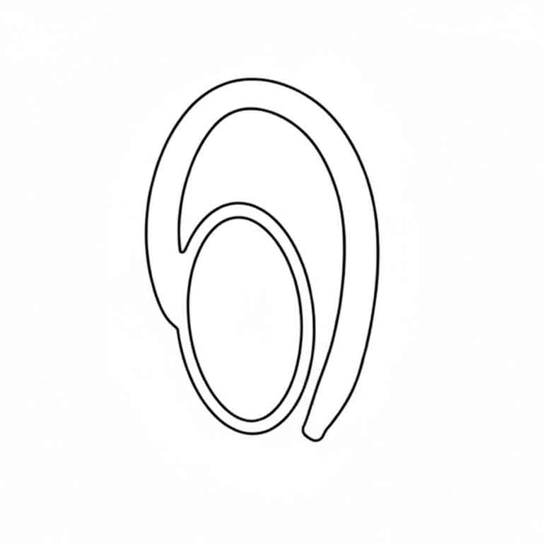 Secure Fit Earhook